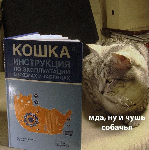 мда, ну и чушь собачья