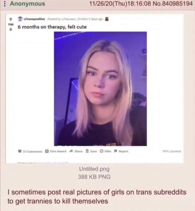 Anonymous 11/26/20(Thu)18:16:08 No.840985194 у 6 months on therapy, felt Untitled.png 388 PNG sometimes post real pictures of girls on trans subreddits to get trannies to kill themselves