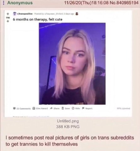 Anonymous 11/26/20(Thu)18:16:08 No.840985194 у 6 months on therapy, felt Untitled.png 388 PNG sometimes post real pictures of girls on trans subreddits to get trannies to kill themselves