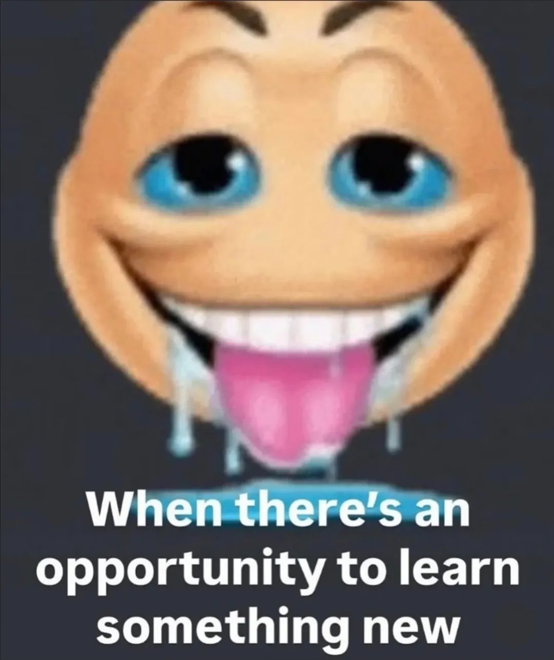 opportunity to learn something new
