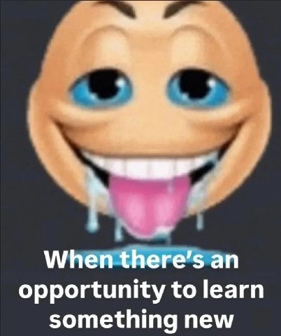 opportunity to learn something new