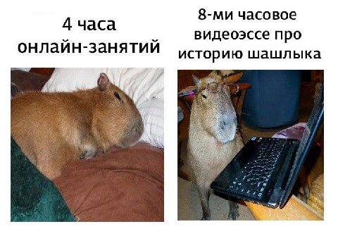 часовое 4 часа видеоэссе про онлаин-занятии историю шашлыка