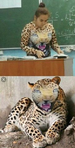 62 4 с 4 4 a и у