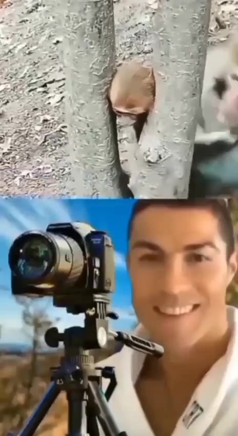 7 4 i 4 4 a7 4 a 7 A Я О is a a 4