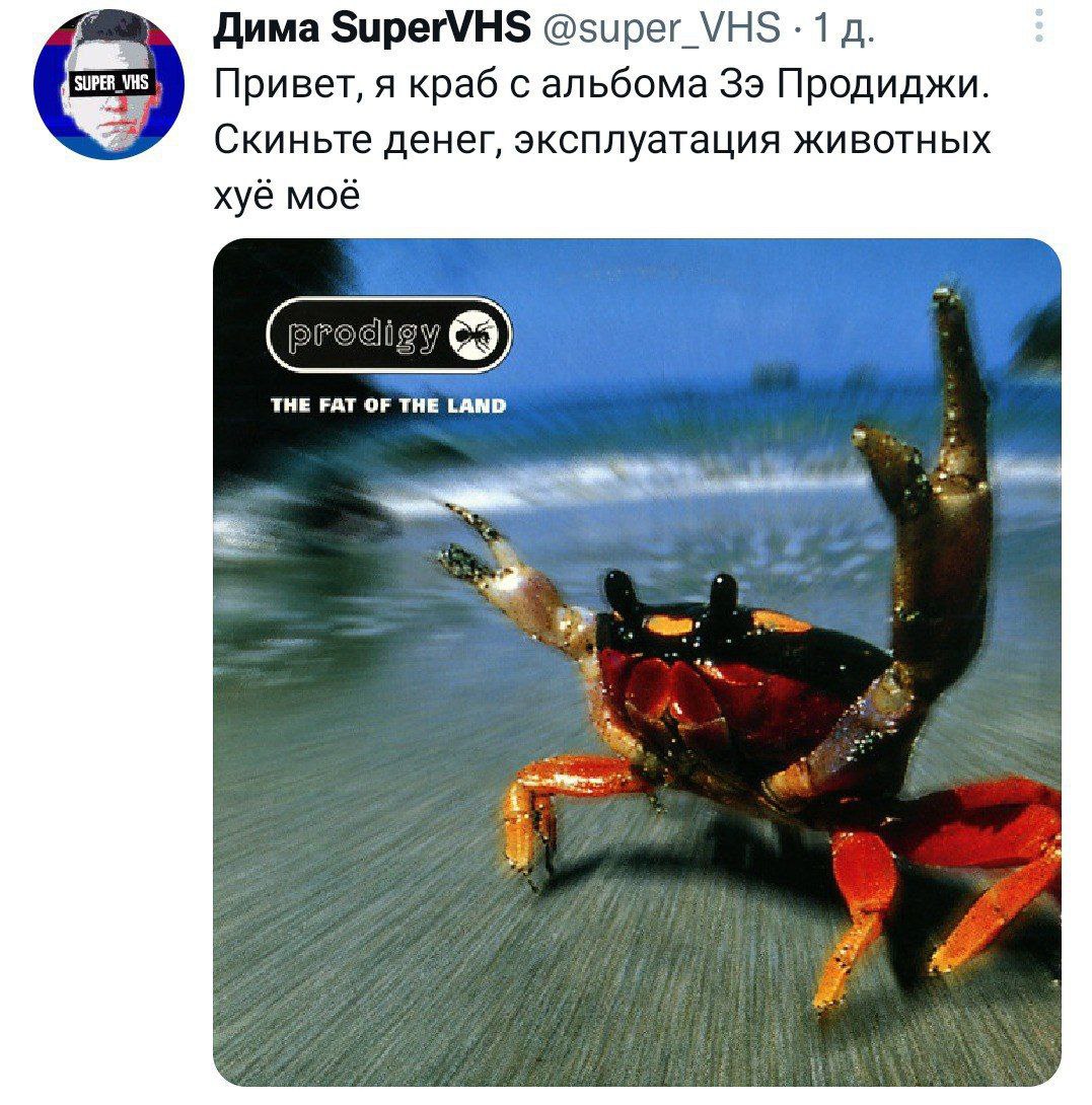 Дима SuperVHS @super_VHS 1 Привет, я краб с альбома 39 Продиджи. Скиньте денег, эксплуатация животных хуё моё THE FAT OF THE LAND