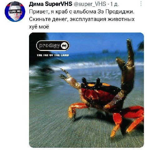 Дима SuperVHS @super_VHS 1 Привет, я краб с альбома 39 Продиджи. Скиньте денег, эксплуатация животных хуё моё THE FAT OF THE LAND