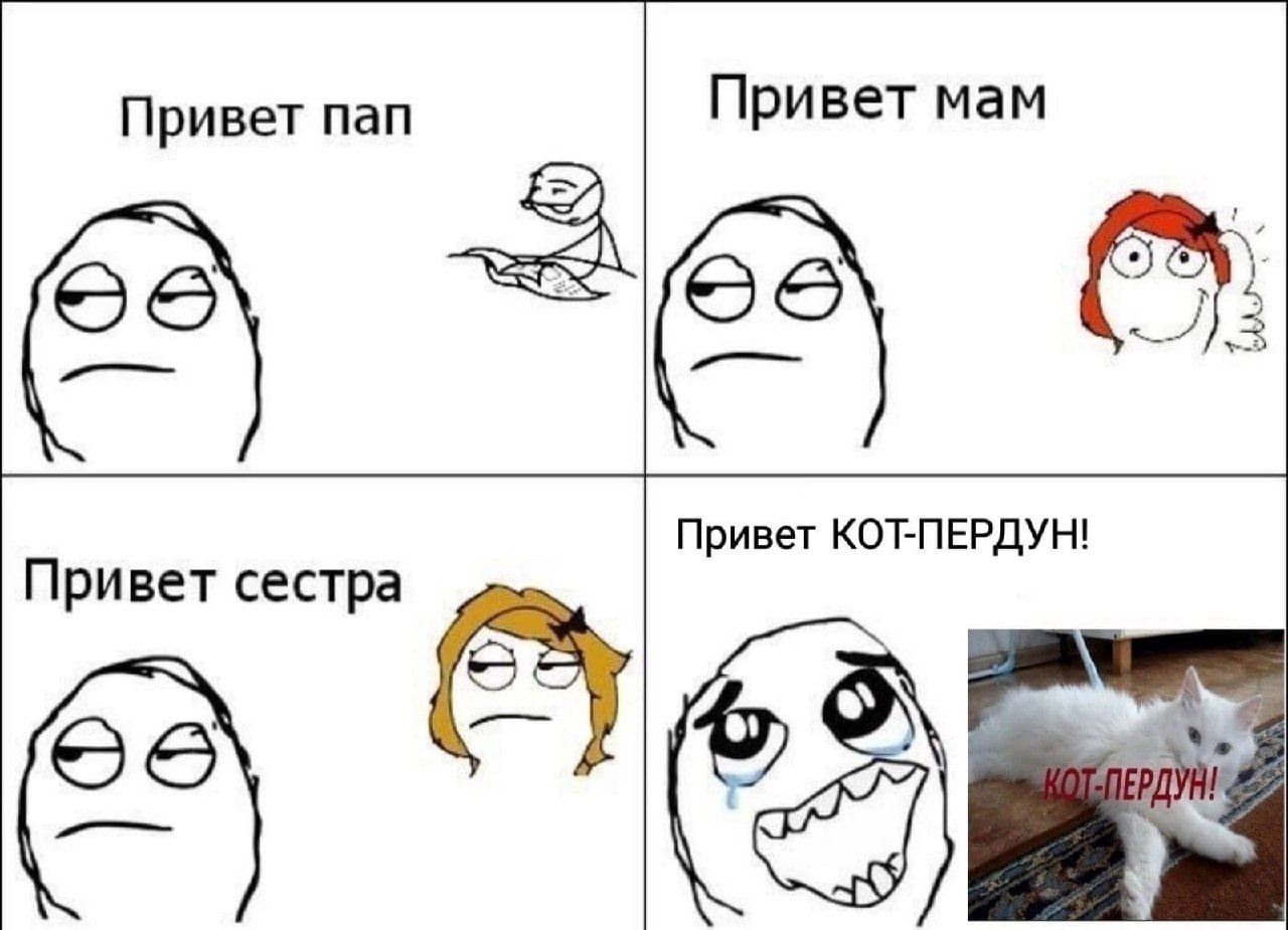 Привет пап Привет мам Привет КОТ-ПЕРДУН! Привет сестра