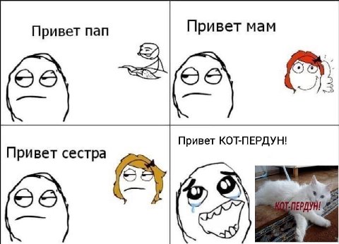 Привет пап Привет мам Привет КОТ-ПЕРДУН! Привет сестра