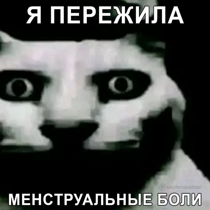 Я ПЕРЕЖИЛА МЕНСТРУАЛЬНЫЕ БОЛИ
