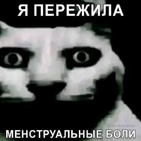Я ПЕРЕЖИЛА МЕНСТРУАЛЬНЫЕ БОЛИ