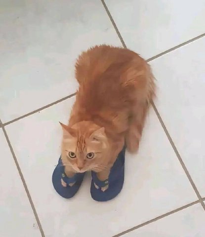 1 “A у