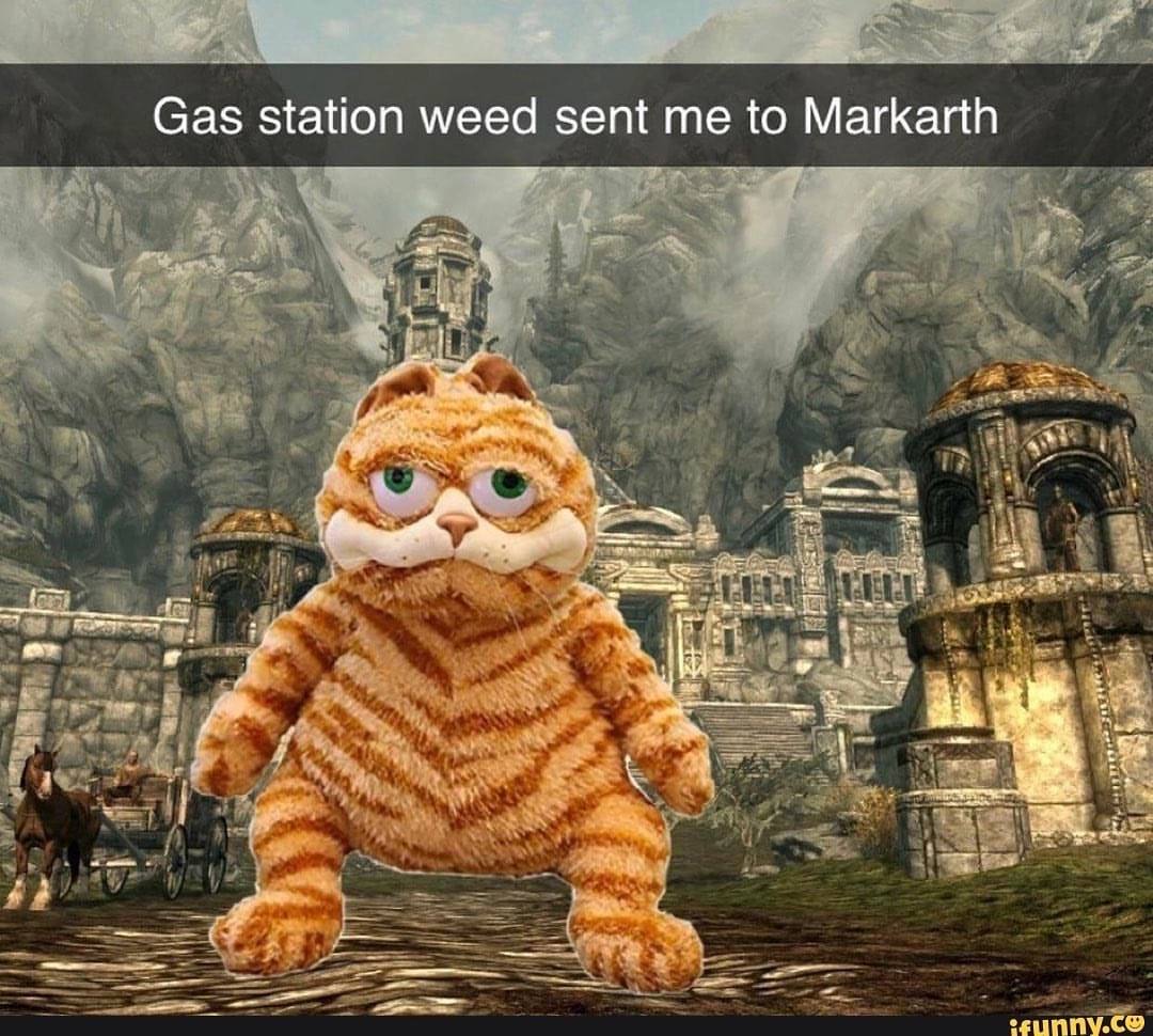 Gas station weed sent me to Markarth