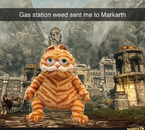 Gas station weed sent me to Markarth