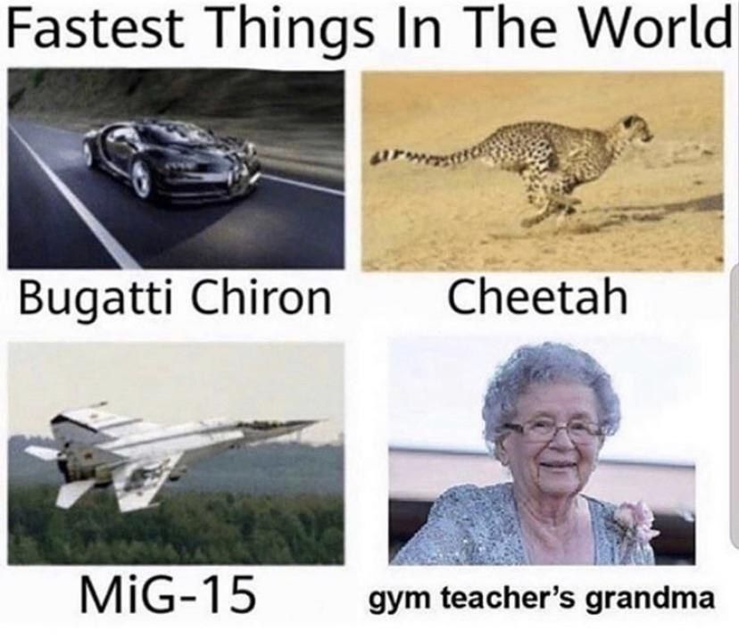 Fastest Things In The World Bugatti Chiron Cheetah 5 gym teacher’s grandma