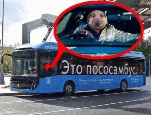 имо A