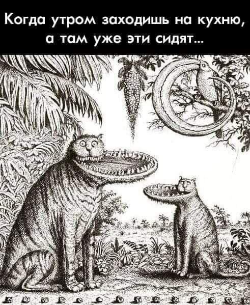 Когда утром заходишь на кухню, а там уже эти сидят... у к: