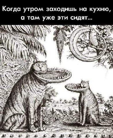 Когда утром заходишь на кухню, а там уже эти сидят... у к: