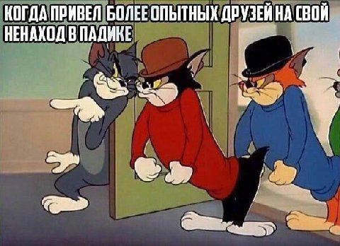 КОГДА ПРИВЕЛ ДРУЗЕЙ НА СВОЙ НЕНАХОД В ПАДИКЕ
