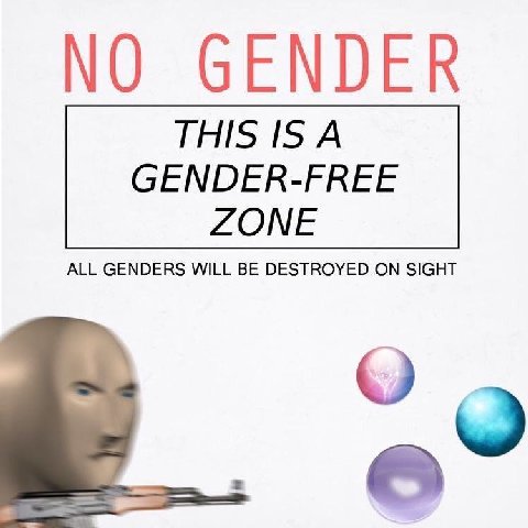 GENDER 15 А GENDER-FREE ALL GENDERS WILL BE DESTROYED ON SIGHT ZONE