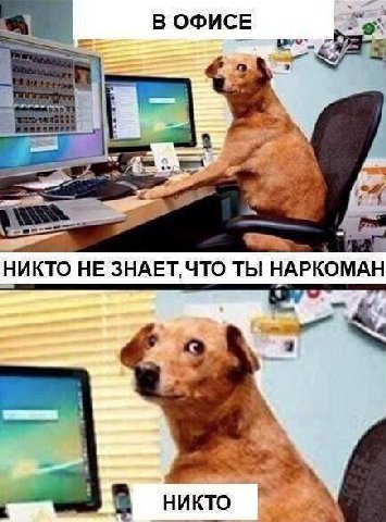 В ОФИСЕ НИКТО HE ЗНАЕТ, ЧТО ТЫ НАРКОМАН никто у