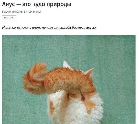 Анус это чудо природы Научно-популярное, Здоровье Перевод И все же мы очень плохо понимаем, откуда берутся анусы. 5