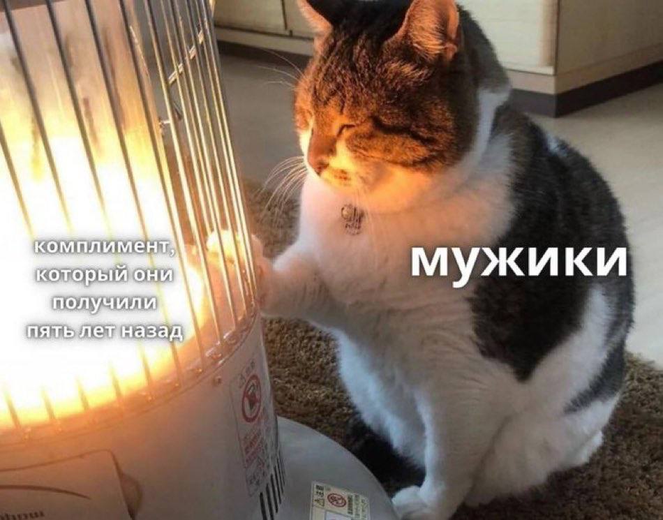комплимент мужики 3 a