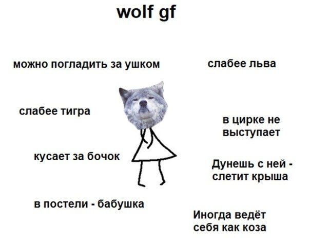 wolf можно погладить за ушком слабее льва слабее тигра в цирке не выступает кусает за бочок Дунешь с ней слетит крыша в постели бабушка Иногда ведёт себя как коза