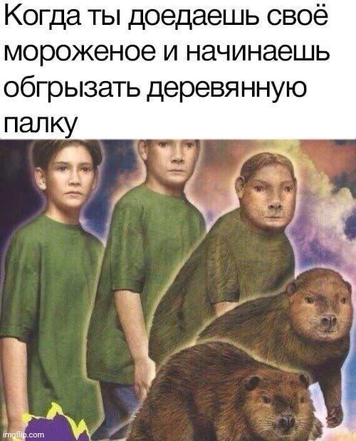 Когда ты доедаешь своё мороженое и начинаешь обгрызать деревянную палку 2