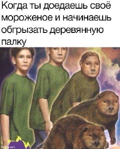 Когда ты доедаешь своё мороженое и начинаешь обгрызать деревянную палку 2