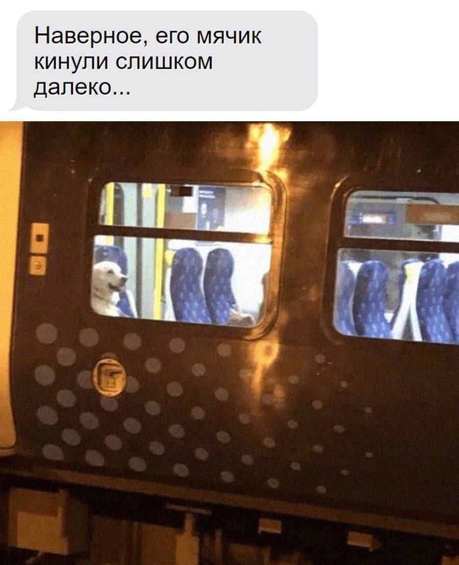 Наверное, его мячик кинули слишком далеко...