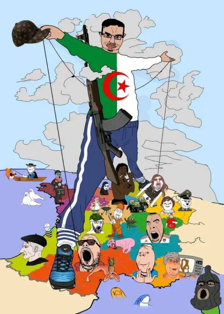 2 a 8 В. О
