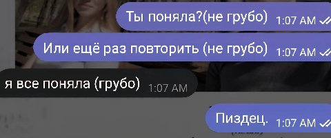 Ты поняла?(не грубо) 4-97 Или ещё раз повторить (не грубо) 4-97 я все поняла (грубо) Пиздец. 1-07