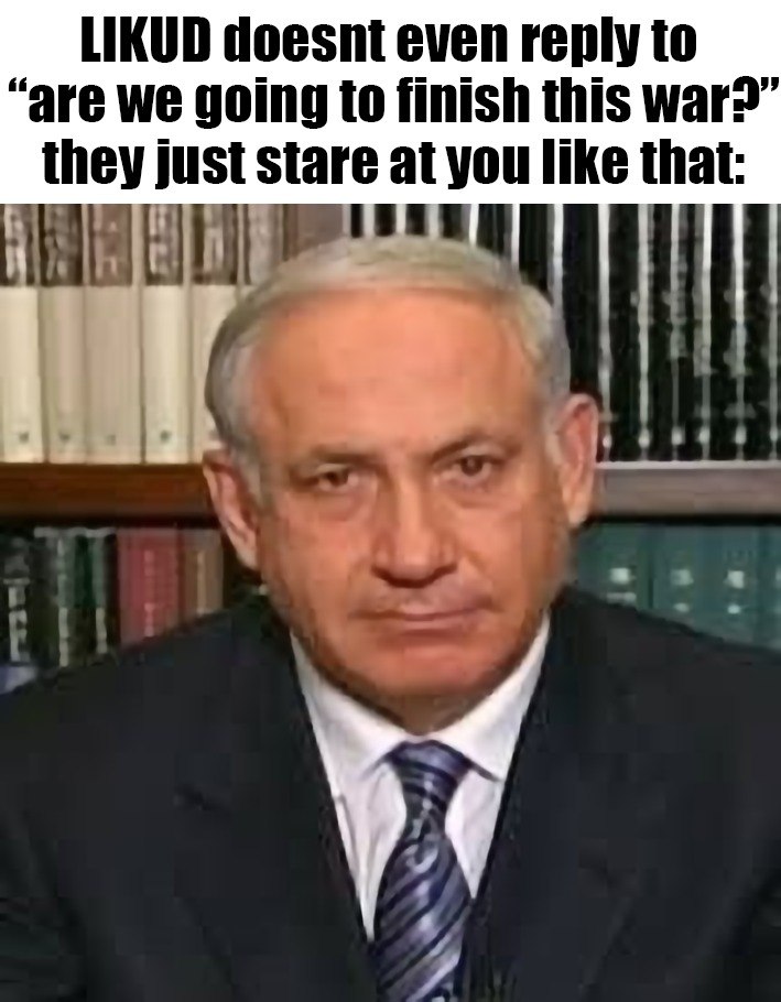 LIKUD doesnt even reply to “are we going to finish this маг” they just stare you like that: И