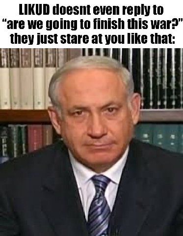 LIKUD doesnt even reply to “are we going to finish this маг” they just stare you like that: И