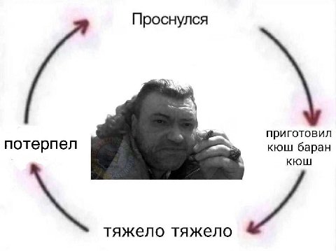 Проснулся приготовил потерпел кюш баран КЮШ тяжело тяжело