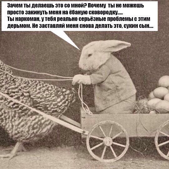 Зачем ты делаешь это мной? Почему ТЫ не можешь просто закинуть меня на ёбаную сковородку... Ты наркоман, у тебя реально серьёзные проблемы с этим дерьмом. Не заставляй снова делать это, сукин сын...