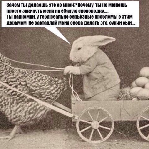 Зачем ты делаешь это мной? Почему ТЫ не можешь просто закинуть меня на ёбаную сковородку... Ты наркоман, у тебя реально серьёзные проблемы с этим дерьмом. Не заставляй снова делать это, сукин сын...