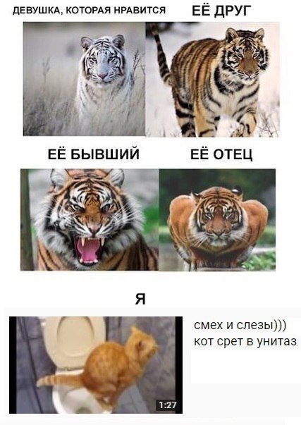 ДЕВУШКА, КОТОРАЯ НРАВИТСЯ ДРУГ БЫВШИЙ ЕЁ ОТЕЦ i A смех и слезы))) кот срет в унитаз.