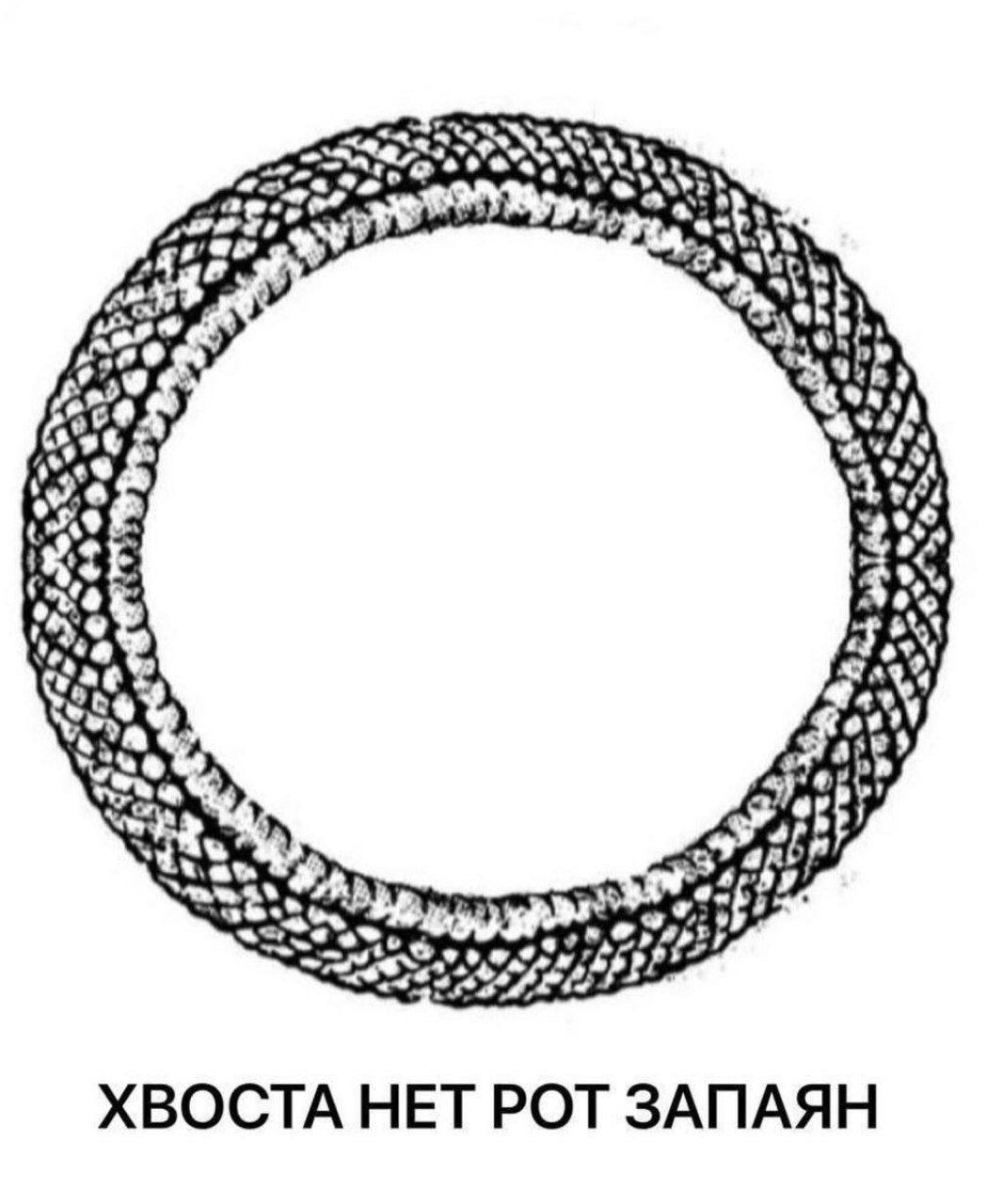 one 7) 15.6 <Я 5% +143. 4 2 ХВОСТА НЕТ РОТ ЗАПАЯН