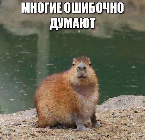 МНОГИЕ ОШИБОЧНО ДУМАЮТ