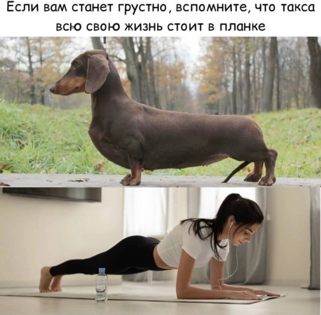 Если вам станет грустно вспомните, что такса ВСРО СВОЮ ЖИЗНЬ СТОИТ В планке I