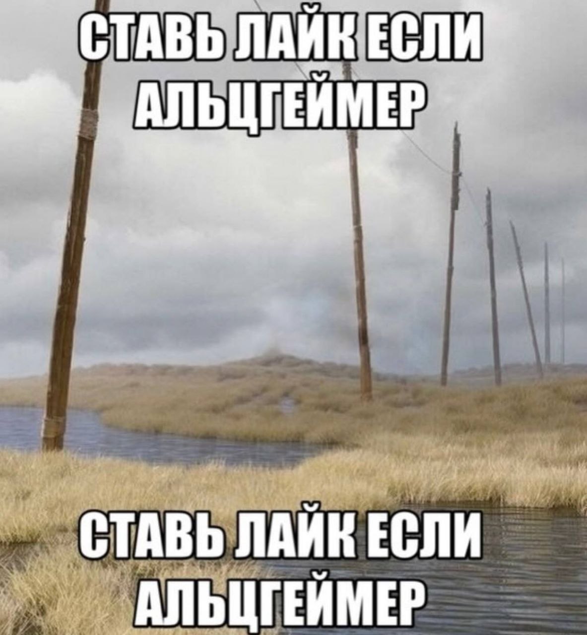 СТАВЬ ЛАЙК СТАВЬ ЛАИН ЕСЛИ АЛЬЦГЕИМЕР