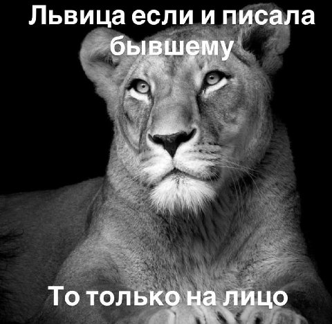 бля меня оч бесят мемы которые основаны на письменном каламбуре, потому что приходится заново перечитывать текст короч бля и да и короч просто бесит это тупо итд