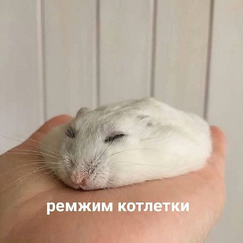 ремжим котлетки