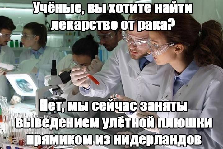 вы хотите найти лекарство о от pana? Her мы заняты ita ыведением прямиком. из ИЗ нидерландов