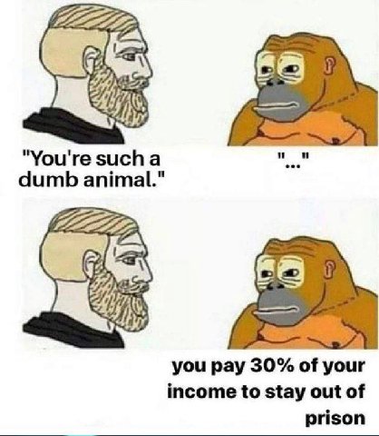 "You're sucha dumb animal." you pay 30% of your income to stay out of prison