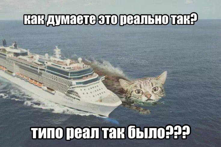 как думаете это реально Tak? BEV типо реал так было