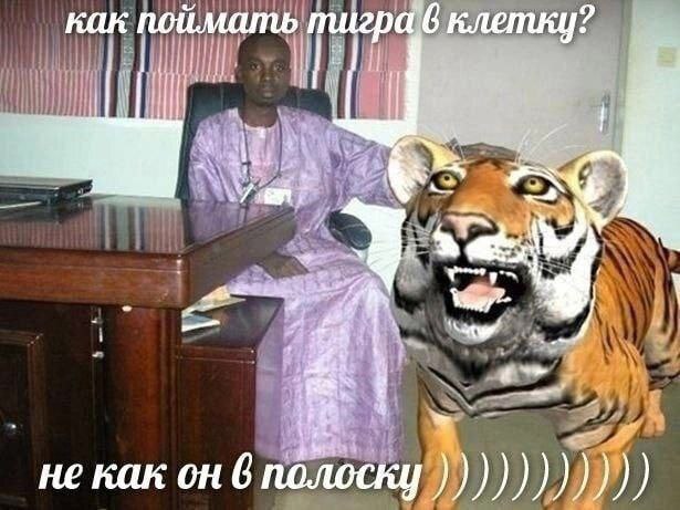 как поймать тигра 6 клетку? a не как он 6 полоску