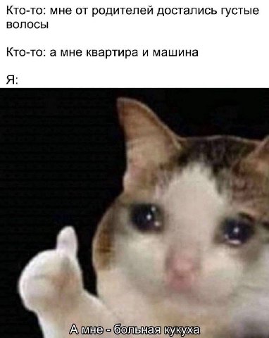 Кто-то: мне от родителей достались густые волосы Кто-то: а мне квартира и машина A: