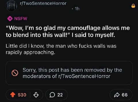 “Wow, so glad my camouflage allows to blend into this wall!” said to myself. Little did know, the man who fucks walls was rapidly approaching. Sorry, this post has been removed the moderators of r/Two
